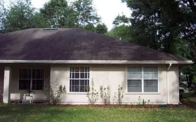 House Washing Near Me