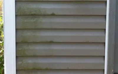 Pressure Washing Services